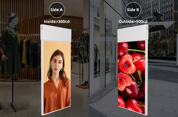 Choosing the Right Digital Window Display Screen