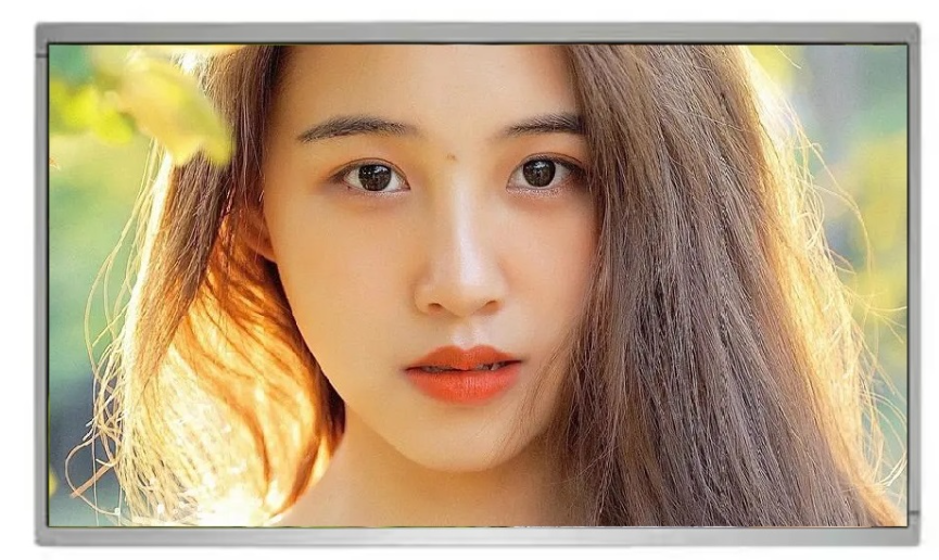 Introduction and Application of High-Brightness Touch LCD Modules